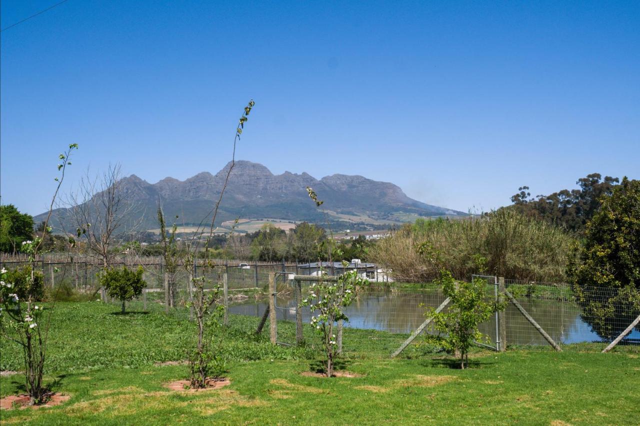 Sunset Farm Stellenbosch Villa ภายนอก รูปภาพ
